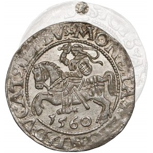 Zygmunt II August, Półgrosz Wilno 1560 - ROZETA - rzadki