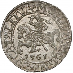 Zygmunt II August, Półgrosz Wilno 1561 - L/LITVA
