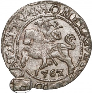 Zygmunt II August, Półgrosz Wilno 1562 - TOPÓR - rzadki 