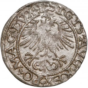 Zygmunt II August, Półgrosz Wilno 1562 - TOPÓR - rzadki 