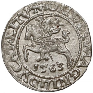 Zygmunt II August, Półgrosz Wilno 1563 - DVX*L 