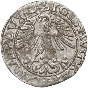 Zygmunt II August, Półgrosz Wilno 1563 - DVX*L 