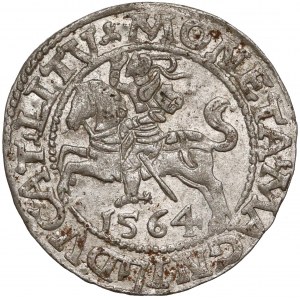 Zygmunt II August, Półgrosz Wilno 1564