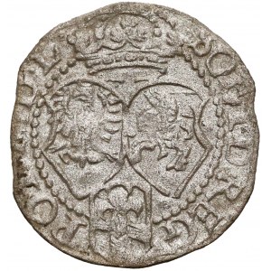 Zygmunt III Waza, Szeląg Olkusz 1592 - tarcza ze Snopkiem BEZ korony
