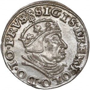 Zygmunt I Stary, Trojak Gdańsk 1540 - piękny