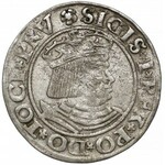 Zygmunt I Stary, Grosz Gdańsk 1530 - błąd gRRossvs