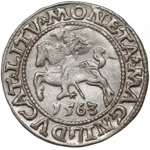 Zygmunt II August, Półgrosz Wilno 1563 - DVX*L 