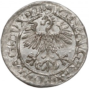 Zygmunt II August, Półgrosz Wilno 1561 - LI / LITVA