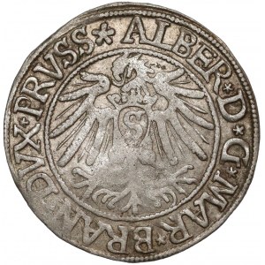 Prusy, Albrecht Hohenzollern, Grosz Królewiec 1538 - 9 piór