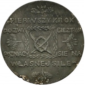 Medal Tadeusz Kościuszko - pierwszy krok... 1917