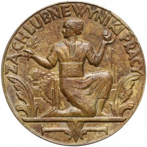 Medal (odznaczenie) Za Chlubne Wyniki Pracy 1929