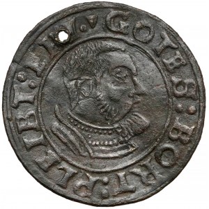Prusy Lenne, Albrecht Hohenzollern, Liczman (1553-68) - rzadkość
