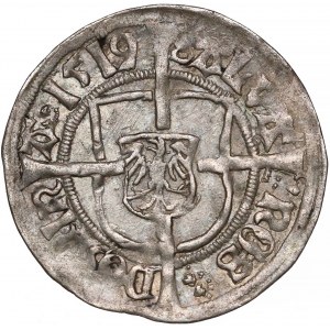 Zakon Krzyżacki, Albrecht von Hohenzollern, Grosz Królewiec 1519 - b.rzadki 