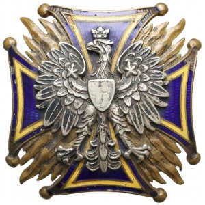 Odznaka 13 Pułk Piechoty