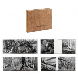 Various Authors, Fir Forest, 1982