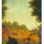ANONIMO, Landscape with a peasant and flock