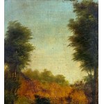 ANONIMO, Landscape with a peasant and flock