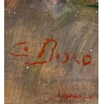 Ritratto di uomo orientale di Josep Tapiró