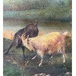 Landscape with cattle