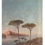 View of Procida and Ischia