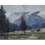 Henryk SAJDAK, POLANA CHOCHOŁOWSKA