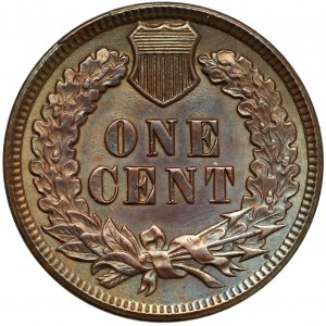 USA, 1 cent 1898 - Indian Head