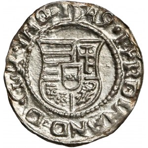 Węgry, Ferdynand I, Denar 1549 KB