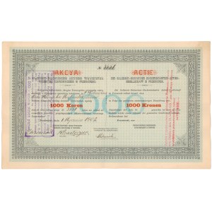 Galicyjsko-Bukowińskie..., 1.000 kr 1902 / 4.000 mkp 1921 / 500 zł 1924