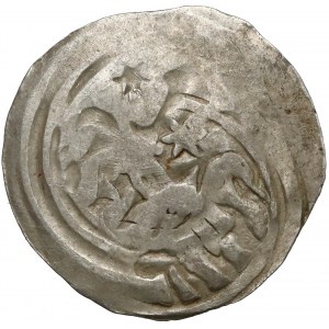 Österreich, Istrien (Andechs-Meranier), Agnes (1243-1248), Pfennig - Elefant