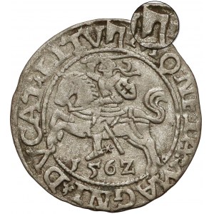 Zygmunt II August, Półgrosz Wilno 1562 - Topór U GÓRY - b.rzadki