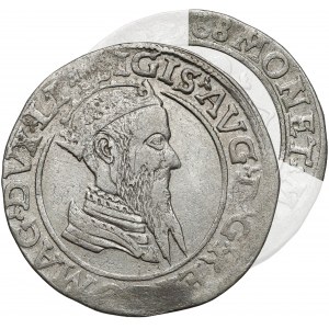 Zygmunt II August, Czworak Wilno 1568 - MONET - rzadkość