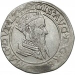 Zygmunt II August, Czworak Wilno 1568 - MONET - rzadkość