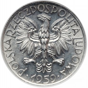 5 złotych 1959 Rybak - SŁONECZKO