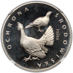 Próba NIKIEL 100 złotych 1980 Głuszce