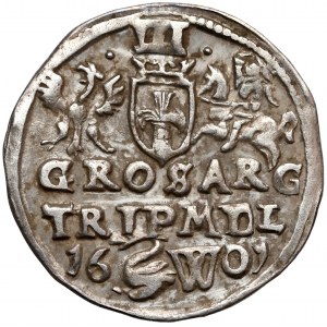 Zygmunt III Waza, Trojak Wilno 1601 - Łabędź i litera W - b. rzadki