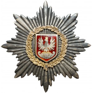 Duża odznaka NKN 5 listopada 1916 - z orłem na emaliowanej tarczy i w wieńcu