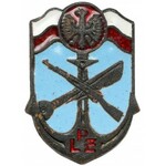 Liga Przyjaciół Żołnierza, Odznaka z legitymacją