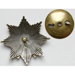 Odznaka 19 Pułk Ułanów Wołyńskich - z legitymacją