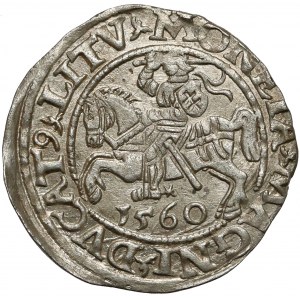 Zygmunt II August, Półgrosz Wilno 1560 - LITV
