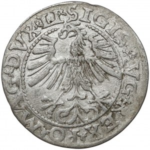 Zygmunt II August, Półgrosz Wilno 1563 - DVX*LI