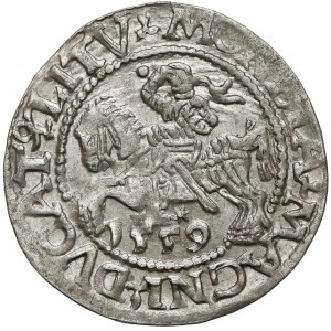 Zygmunt II August, Półgrosz Wilno 1559 - LITV