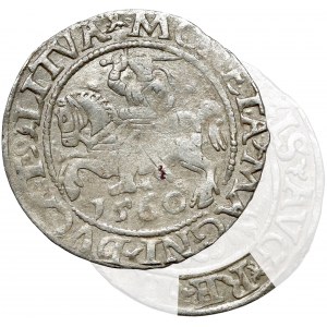 Zygmunt II August, Półgrosz Wilno 1560 - LITVA - RE zamiast REX