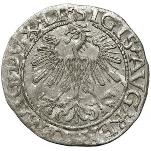 Zygmunt II August, Półgrosz Wilno 1560 - LIT - rzadki