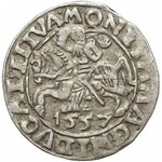 Zygmunt II August, Półgrosz Wilno 1557 - Behm - koniczyna