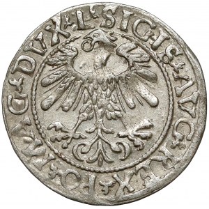 Zygmunt II August, Półgrosz Wilno 1559 - A bez belki - rzadki