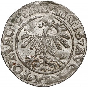 Zygmunt II August, Półgrosz Wilno 1560 - LITV