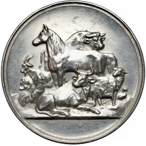 Śląsk, Nysa, Medal za pokaz zwierząt 1889