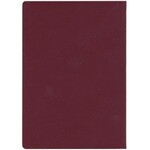 PWPW Paszport studyjny 2008 - Fryderyk Chopin - standardowy