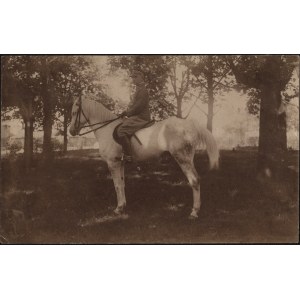 [3 Pułk Szwoleżerów Mazowieckich im. Pułkownika Jana Kozietulskiego] Porucznik Ludwik Schweitzer na koniu. 23 V 1925. Dedykacja.