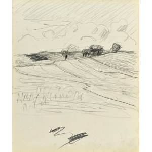 Stanislaw KAMOCKI (1875-1944), Landscape with fields, summer 1903